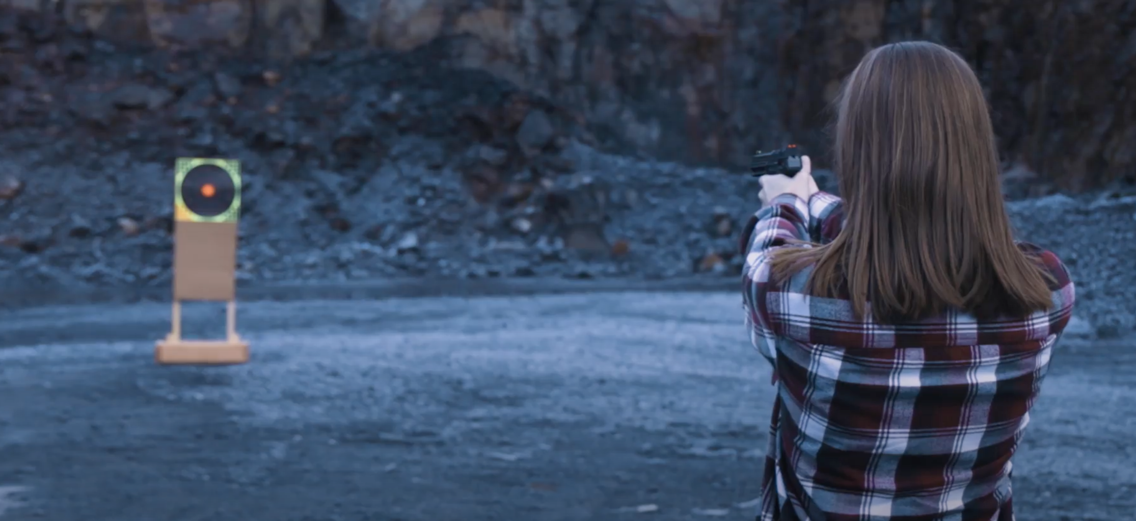 Firearm safety training